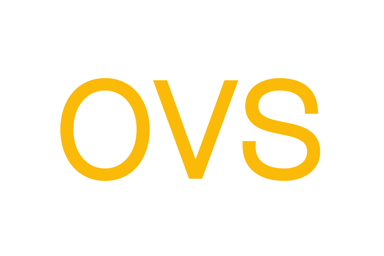 OVS Logo